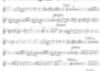 record professional flute for your song in 24 hours